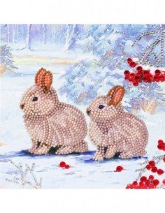 Rinkinys CRYSTAL ART...