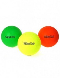 Tinklinio kamuolys,...