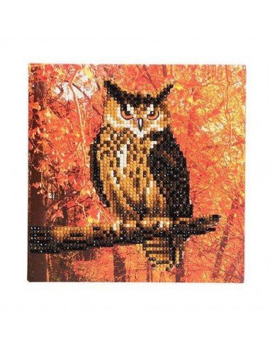 Rinkinys CRYSTAL ART Card Pelėda...