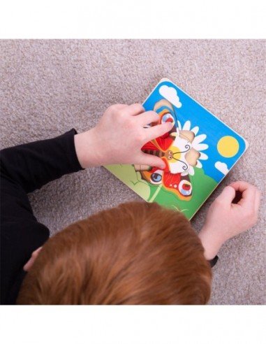 Dėlionė medinė Gyvenimo ciklas...