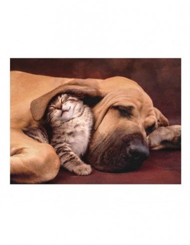 Dėlionė 500 det., CUDDLES, 49x36 cm