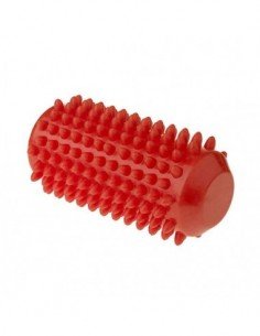 Reabilitacinis volelis...