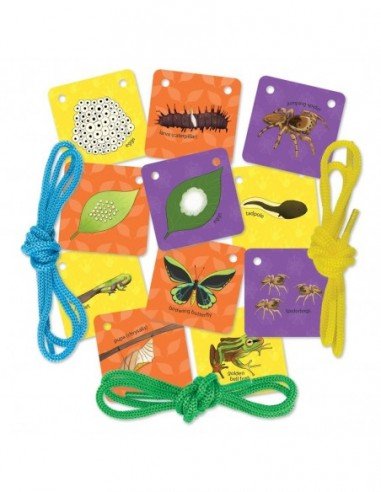 Jaunojo mokslininko rinkinys LET'S...