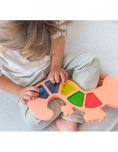 Rinkinys TRANSLUCENT... 2