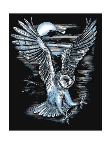Rinkinys ARTFOIL SILVER pelėda BARN OWL