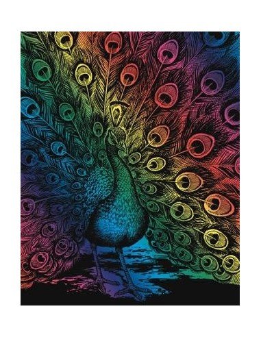 Rinkinys ARTFOIL RAINBOW povas PEACOCK