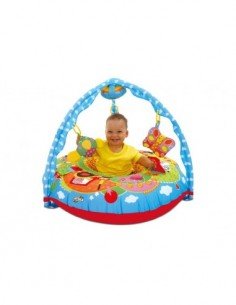 Manežas PLAYNEST & GYM... 2