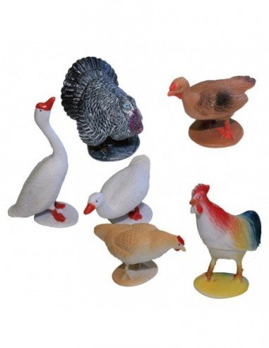 Rinkinys Naminiai paukščiai, 6 vnt.