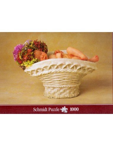 Dėlionė PUZZLE 1000 det.