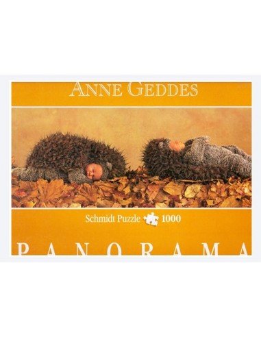 Dėlionė PUZZLE 1000 det.