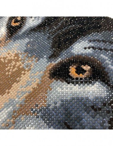 Rinkinys CRYSTAL ART Vilkas 8m.+...