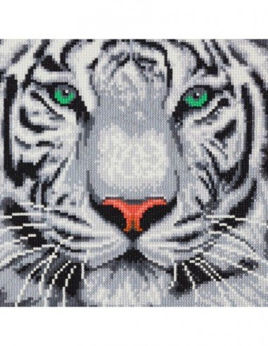 Rinkinys CRYSTAL ART Tigras 8m.+...