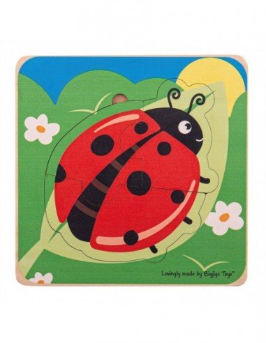 Dėlionė medinė Gyvenimo ciklas...