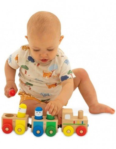 Medinis traukinys Shape Sorter Train,...