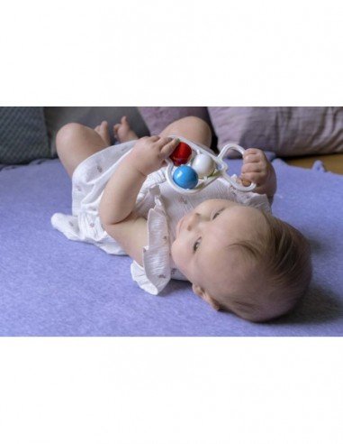 Barškutis širdelė, 0 mėn.+