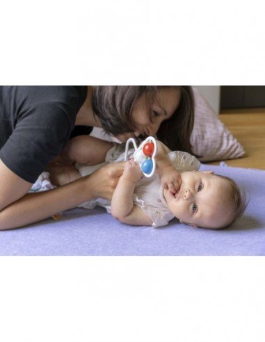 Barškutis širdelė, 0 mėn.+