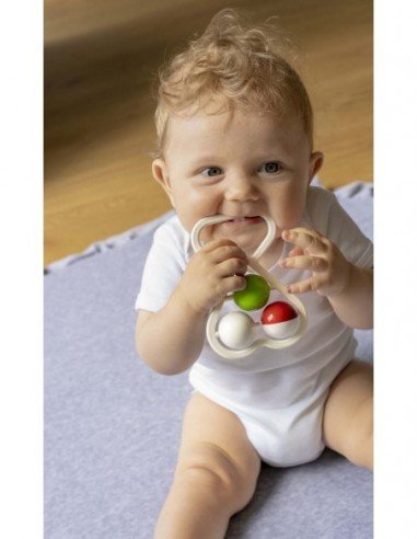 Barškutis širdelė, 0 mėn.+