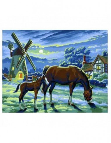 Rinkinys piešimui SENIOR arkliai...