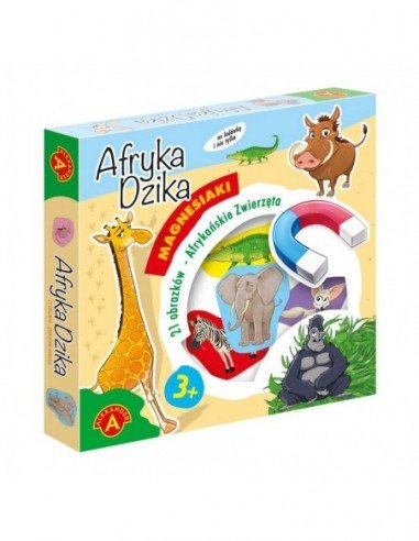 Rinkinys 24 magnetinių kortelių...