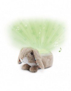 Žvaigždžių projektorius... 2