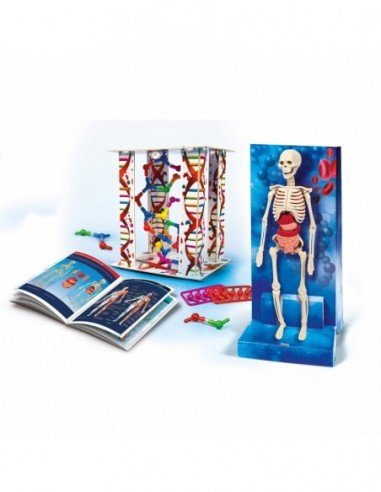 Jaunojo mokslininko rinkinys Žmogaus...