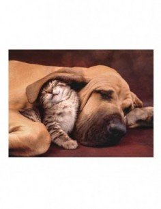 Dėlionė 500 det., CUDDLES,... 2