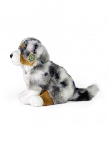 Šuo Shepherd, 30 cm