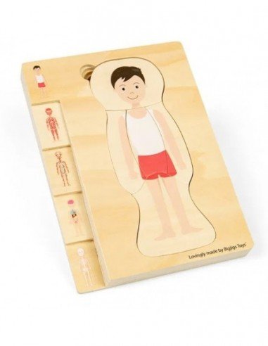 Dėlionė Anatomija Berniukas, 25 det.,...