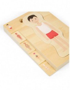 Dėlionė Anatomija... 2