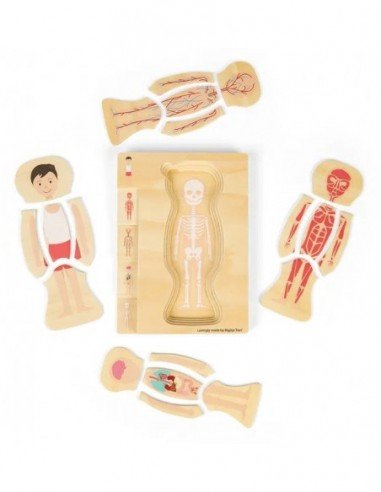 Dėlionė Anatomija Berniukas, 25 det.,...