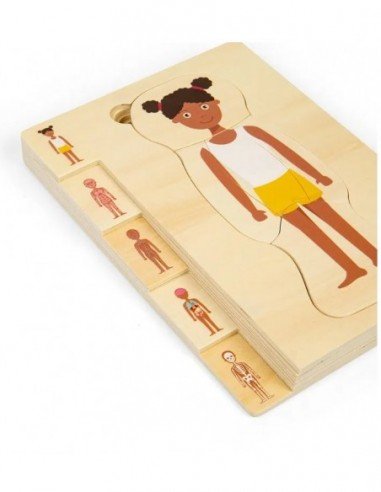 Dėlionė Anatomija Mergaitė, 25 det.,...