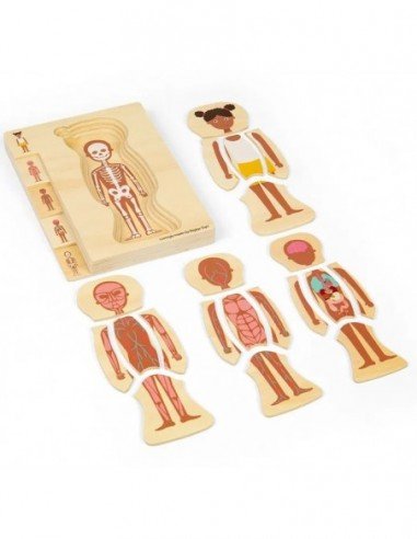 Dėlionė Anatomija Mergaitė, 25 det.,...