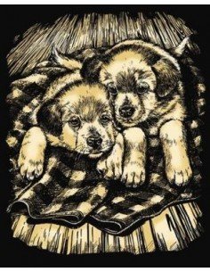 Rinkinys ARTFOIL GOLD šuniukai