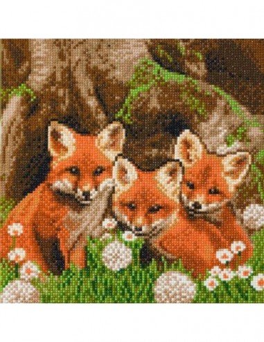 Rinkinys CRYSTAL ART Lapės 8m.+...