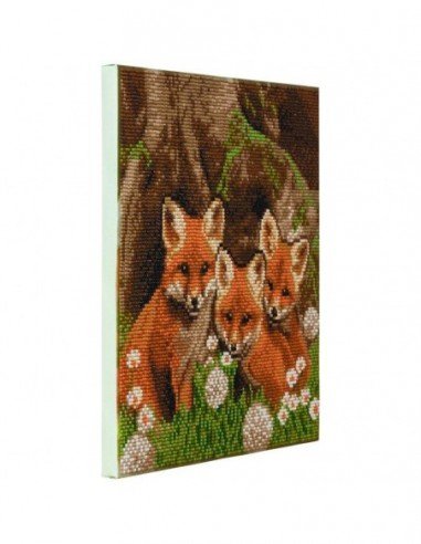 Rinkinys CRYSTAL ART Lapės 8m.+...