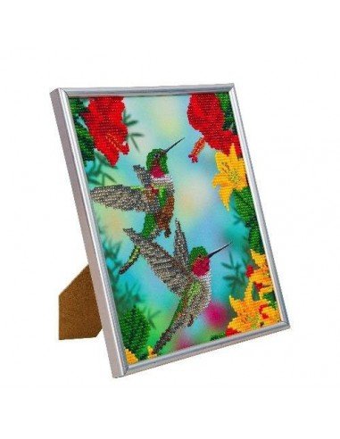 Rinkinys CRYSTAL ART Kolibris, 8m.+...