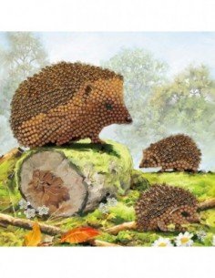 Rinkinys CRYSTAL ART...