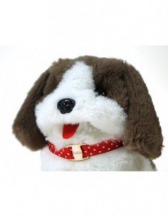 Šuo vaikščiojantis su... 2