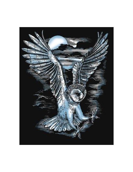 Rinkinys ARTFOIL SILVER pelėda BARN OWL
