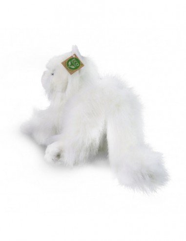 Persų katinas baltas, 30 cm