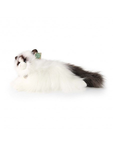 Katinas Ragdoll cat, 38 cm