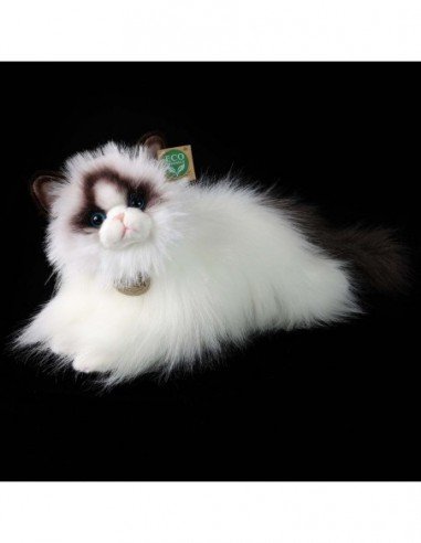 Katinas Ragdoll cat, 38 cm