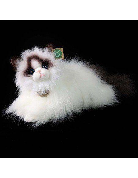 Katinas Ragdoll cat, 38 cm