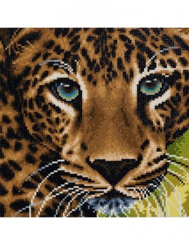 Rinkinys CRYSTAL ART Leopardas 8m.+ įrėmintas,...