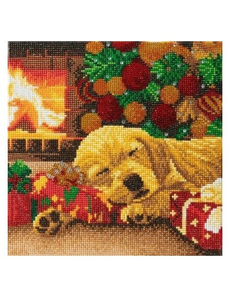 Rinkinys CRYSTAL ART Miegantis labradoras 8m.+ įrėmintas, 30x30cm
