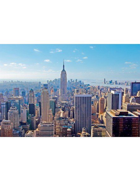 Dėlione 2000 det. NEW YORK, 97.5x66.8cm