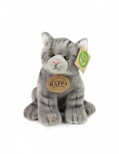 Katinas 20 cm