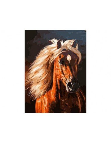 Rinkinys piešimui pagal skaičius Arklys 50x40cm