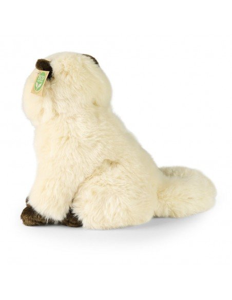 Pliušinis Britų katinas 30cm