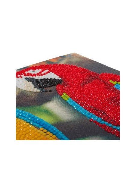 Rinkinys CRYSTAL ART Papugos, 8m.+, formatas 18x18cm